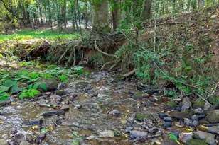 225 Meadow Brook Ln, Pickens, SC 29671 - Photo 46