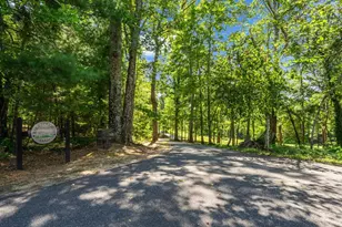 1050 Hunting Country Rd, Tryon, NC 28782 - Photo 2