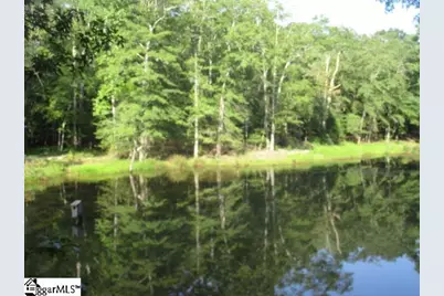 1905 McKelvey Road, Fountain Inn, SC 29644 - Photo 16