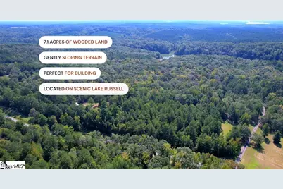 00 Horseshoe Road, Abbeville, SC 29655 - Photo 2