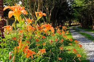 700 N Trade Ave, Landrum, SC 29356 - Photo 46