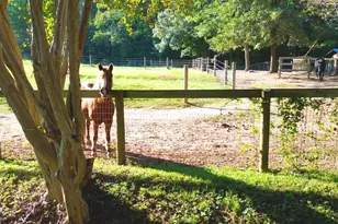 700 N Trade Ave, Landrum, SC 29356 - Photo 38