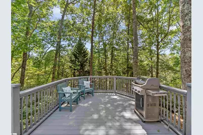 1 Thaxter Way, Travelers Rest, SC 29690 - Photo 36