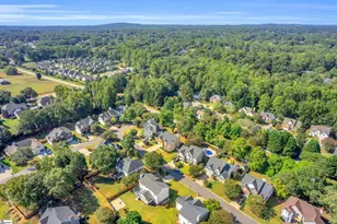 3 Jade Tree Ct, Greer, SC 29650 - Photo 40