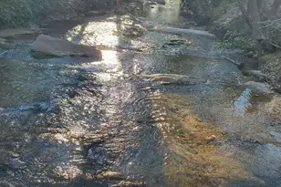 105 Comanche Trl, Simpsonville, SC 29680 - Photo 34