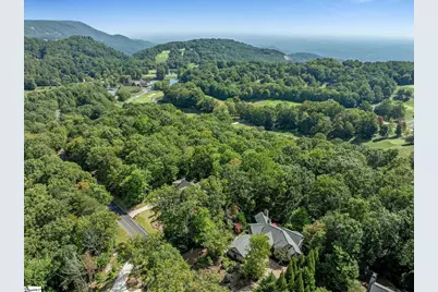 115 Blazing Star Trail, Landrum, SC 29356 - Photo 50