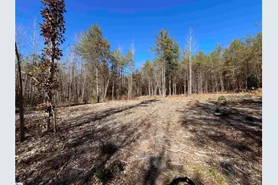 Old Dunham Bridge Road, Greenville, SC 29611 - Photo 8