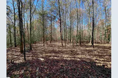 Old Dunham Bridge Road, Greenville, SC 29611 - Photo 4