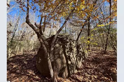 Old Dunham Bridge Road, Greenville, SC 29611 - Photo 10