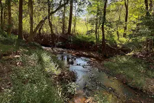 249 Cedar Hill Rd, Six Mile, SC 29682 - Photo 38