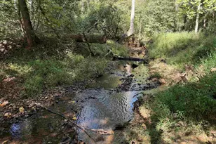 249 Cedar Hill Rd, Six Mile, SC 29682 - Photo 40