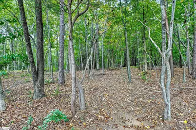 907 Sugar Oak Court, Simpsonville, SC 29680 - Photo 42