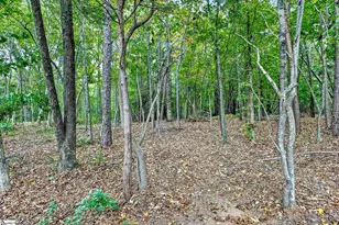 907 Sugar Oak Ct, Simpsonville, SC 29680 - Photo 42