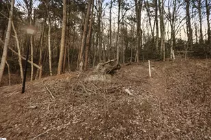 Hidden Glory Dr, Landrum, SC 29356 - Photo 4