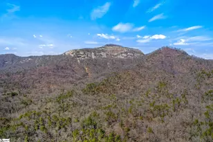 527 Doe Run, Pickens, SC 29671 - Photo 40