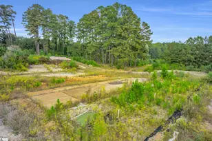 117 Bracken Ln, Easley, SC 29642 - Photo 22