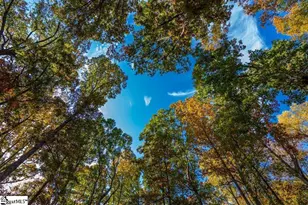 151 Hammond Dr, Taylors, SC 29687 - Photo 48