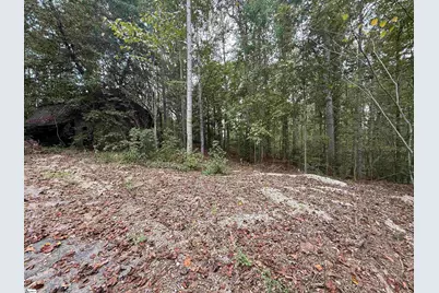 9000 U.S. 221 Highway, Woodruff, SC 29388 - Photo 4