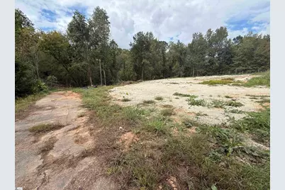 9000 U.S. 221 Highway, Woodruff, SC 29388 - Photo 10