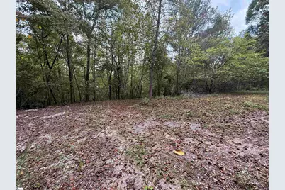 9000 U.S. 221 Highway, Woodruff, SC 29388 - Photo 2