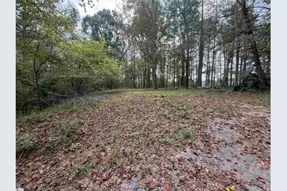 9000 U.S. 221 Highway, Woodruff, SC 29388 - Photo 6