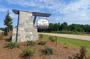 4007 Hollybank Dr, Spartanburg, SC 29303 - Photo 18