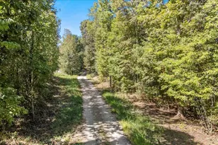 1660 Kilgore Bridge Rd, Woodruff, SC 29388 - Photo 38