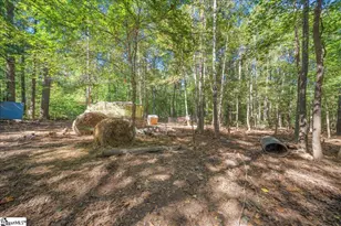 1660 Kilgore Bridge Rd, Woodruff, SC 29388 - Photo 30