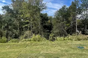 21 Sweetgrass St, Central, SC 29630 - Photo 42