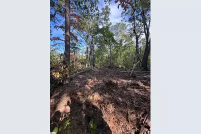 4502 Hawkins Road, Greer, SC 29651 - Photo 2