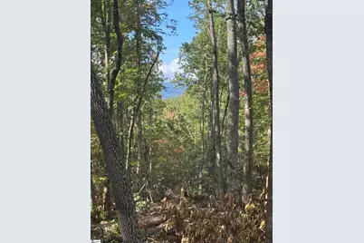 4502 Hawkins Road, Greer, SC 29651 - Photo 4