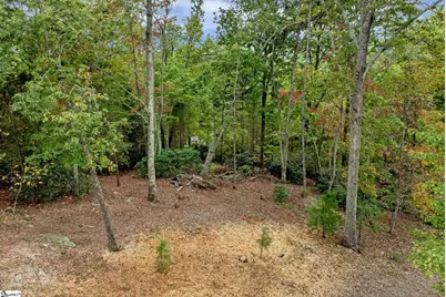 435 Augusta Links Trail, Travelers Rest, SC 29690 - Photo 2