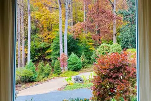 41 Lake Ridge Dr, Greenville, SC 29611 - Photo 12