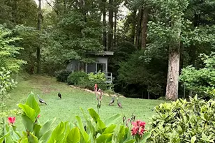 41 Lake Ridge Dr, Greenville, SC 29611 - Photo 36