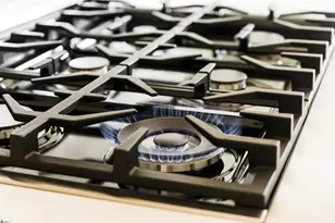 11 Stall St, Greenville, SC 29609 - Photo 4