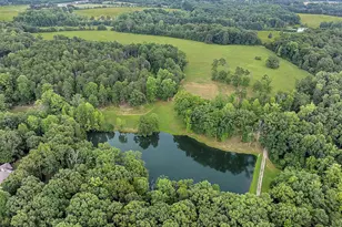 1360 Skunk Hollow Rd, Campobello, SC 29322 - Photo 30