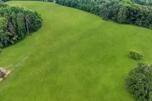 1360 Skunk Hollow Rd, Campobello, SC 29322 - Photo 32