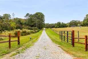 660 Scoggins Rd, Rutherfordton, NC 28139 - Photo 46