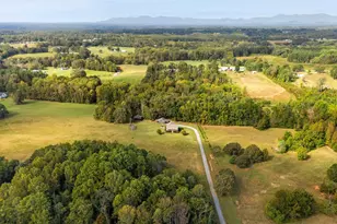 660 Scoggins Rd, Rutherfordton, NC 28139 - Photo 46