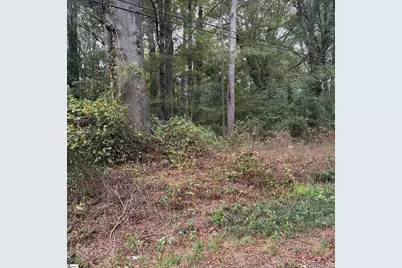 0 Dogwood Circle, Clinton, SC 19325 - Photo 4