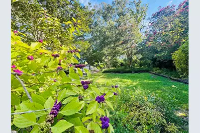 302 Chestnut Street, Abbeville, SC 29620 - Photo 46