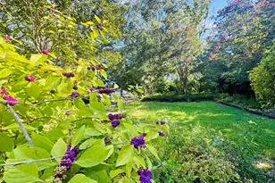 302 Chestnut St, Abbeville, SC 29620 - Photo 46