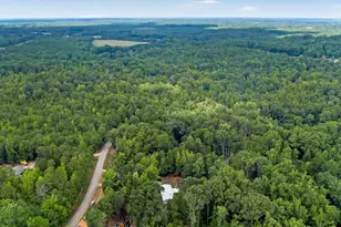 1298 Mordeci Mountain Rd, Gray Court, SC 29645 - Photo 38