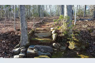 4828 Highway 11, Pickens, SC 29671 - Photo 10