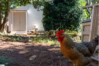 427 Ransdell Drive, Spartanburg, SC 29307 - Photo 48