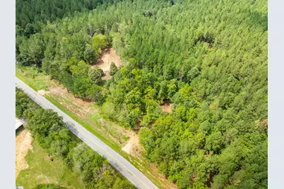 00 Neal Shoals Road, Union, SC 29379 - Photo 12