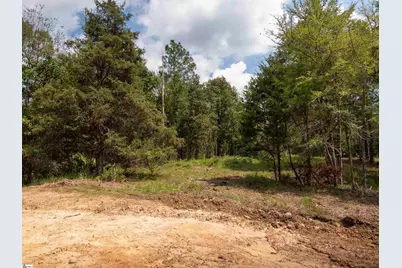 00 Neal Shoals Road, Union, SC 29379 - Photo 16