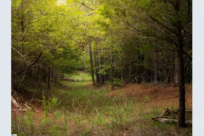 00 Neal Shoals Road, Union, SC 29379 - Photo 6
