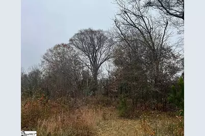 00 Blakely Avenue, Laurens, SC 29360 - Photo 2