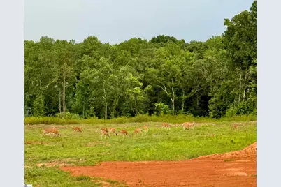 160 Smith Motors Drive, Belton, SC 29627 - Photo 38